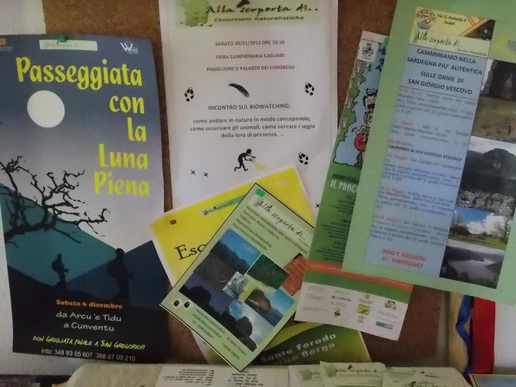 B&B Sette Fratelli San Gregorio  Extérieur photo