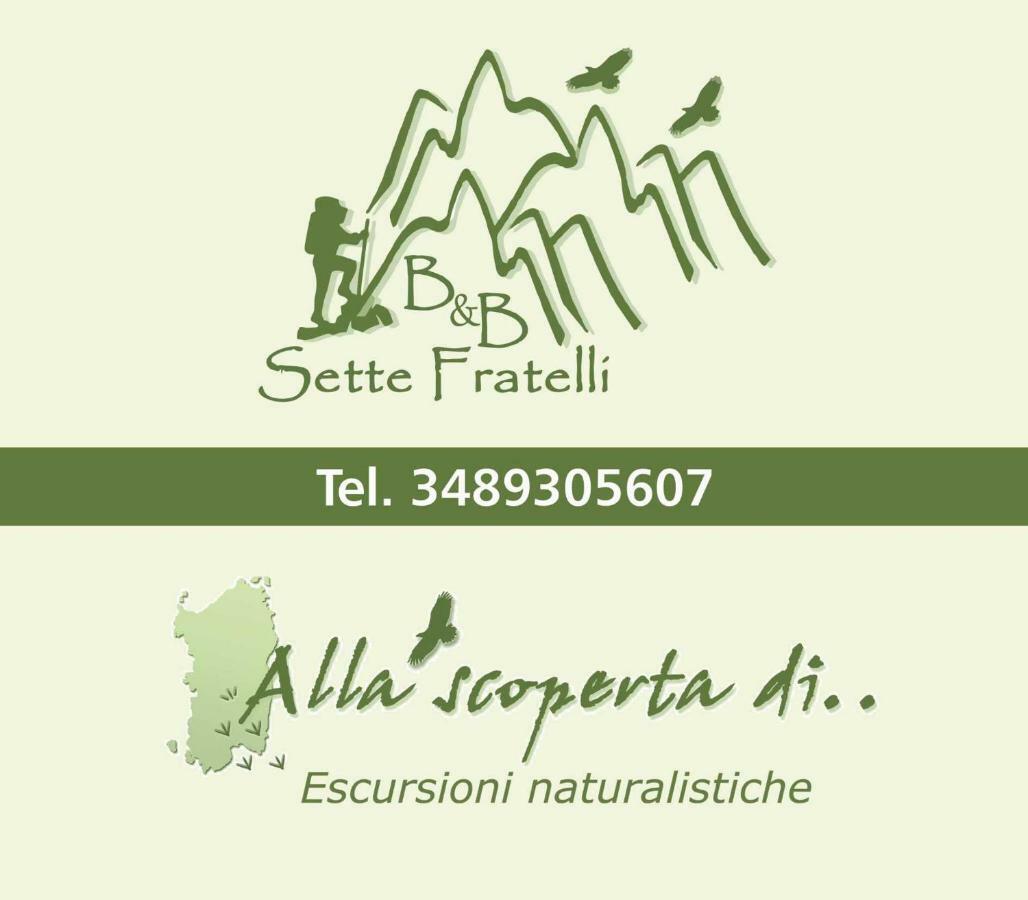 B&B Sette Fratelli San Gregorio  Extérieur photo